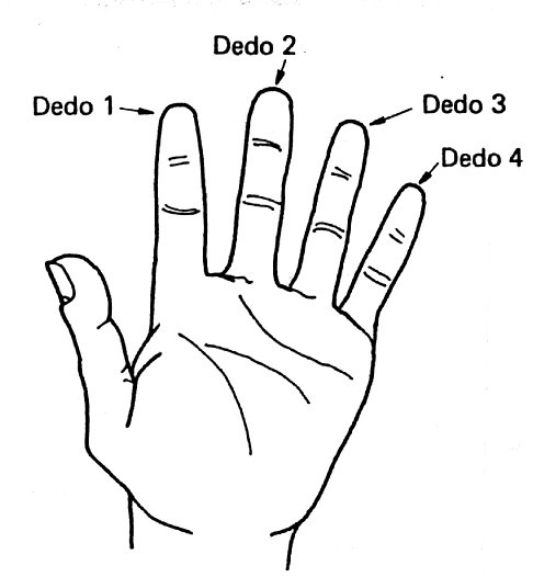 Apostila de contrabaixo- aula 1